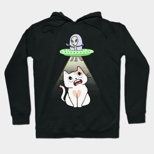 Funny white cat is being abducted by aliens Hoodie